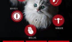 料理猫爆料视频大全,视频大全揭秘美食背后的故事